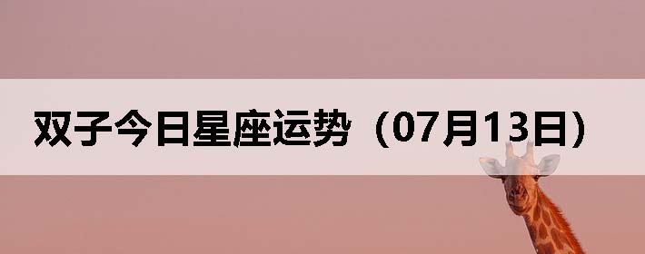 ˫ӽƣ0713գ