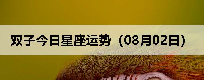 ˫ӽƣ0802գ
