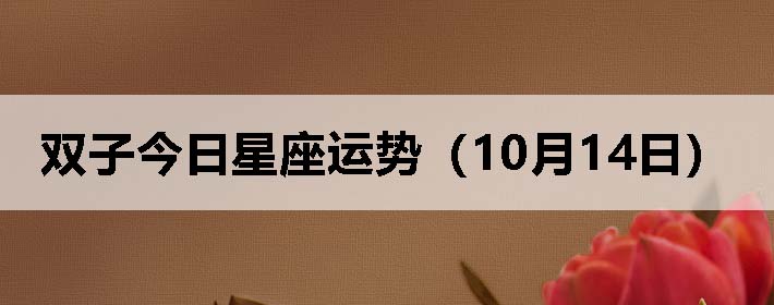 ˫ӽƣ1014գ