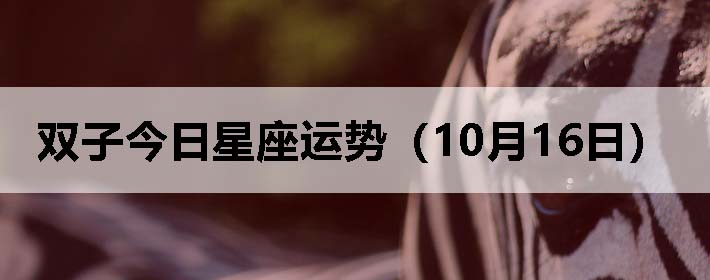 ˫ӽƣ1016գ