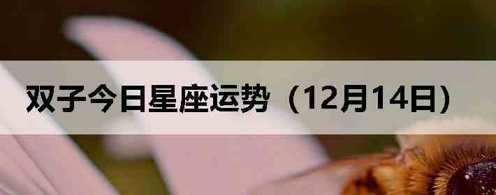 ˫�ӽ����������ƣ�12��14�գ�