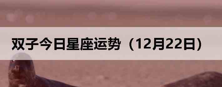 ˫�ӽ����������ƣ�12��22�գ�