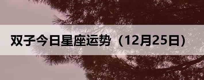 ˫�ӽ����������ƣ�12��25�գ�