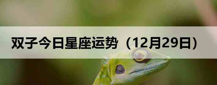 ˫�ӽ����������ƣ�12��29�գ�