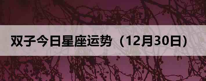 ˫�ӽ����������ƣ�12��30�գ�