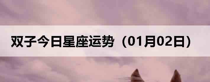 ˫�ӽ����������ƣ�01��02�գ�