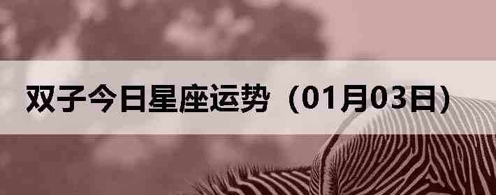 ˫�ӽ����������ƣ�01��03�գ�