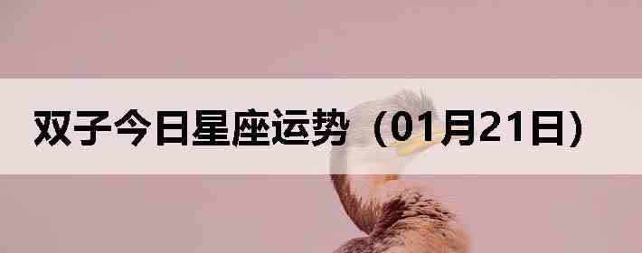 ˫�ӽ����������ƣ�01��21�գ�