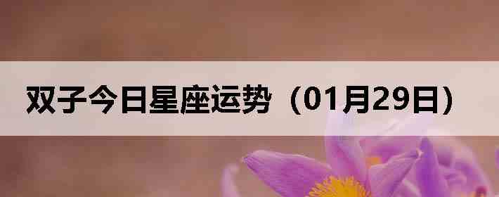 ˫�ӽ����������ƣ�01��29�գ�