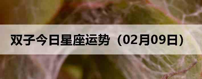 ˫�ӽ����������ƣ�02��09�գ�