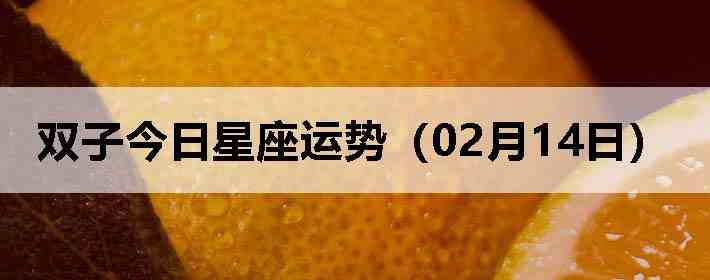 ˫�ӽ����������ƣ�02��14�գ�