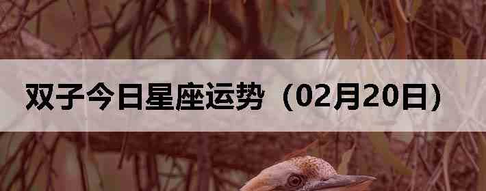 ˫�ӽ����������ƣ�02��20�գ�