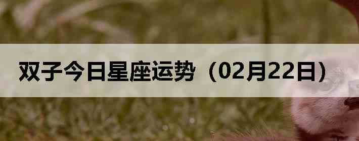 ˫�ӽ����������ƣ�02��22�գ�