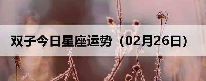 ˫�ӽ����������ƣ�02��26�գ�