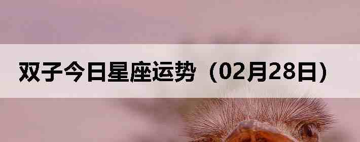 ˫�ӽ����������ƣ�02��28�գ�