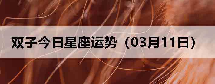 ˫�ӽ����������ƣ�03��11�գ�