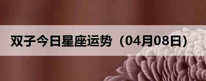 ˫�ӽ����������ƣ�04��08�գ�