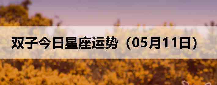˫�ӽ����������ƣ�05��11�գ�