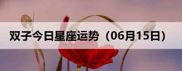 ˫�ӽ����������ƣ�06��15�գ�