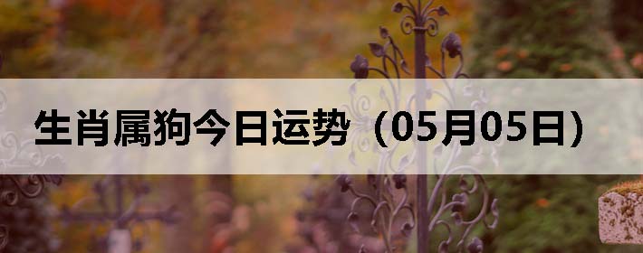 Фƣ0505գ