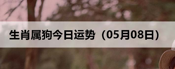 Фƣ0508գ