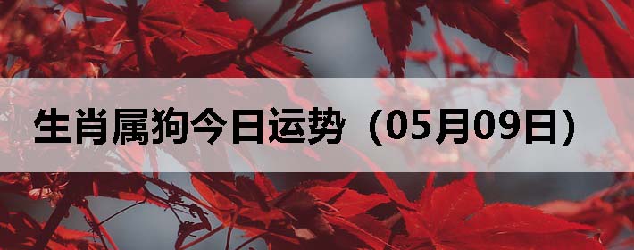 Фƣ0509գ
