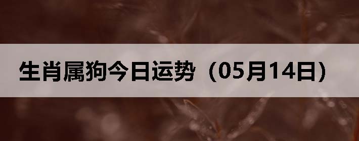 Фƣ0514գ
