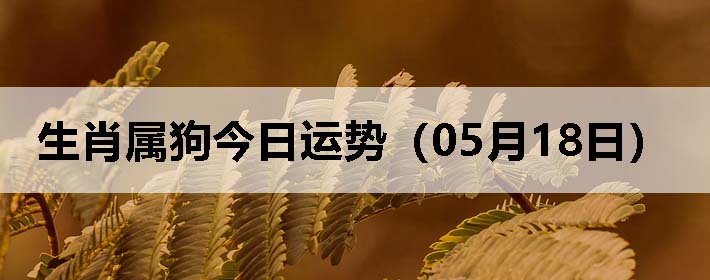 Фƣ0518գ