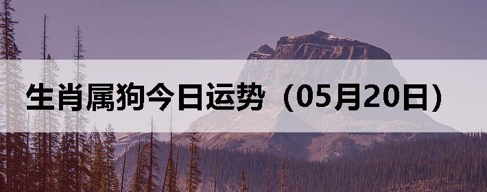 Фƣ0520գ
