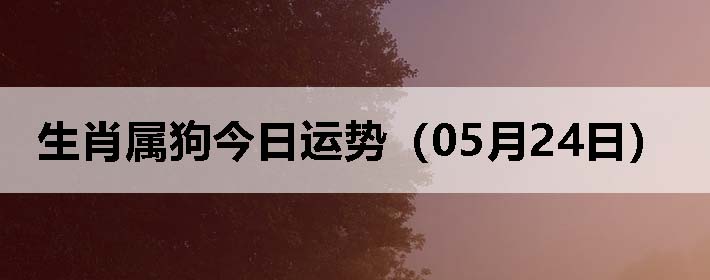 Фƣ0524գ