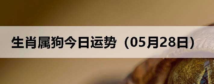 Фƣ0528գ