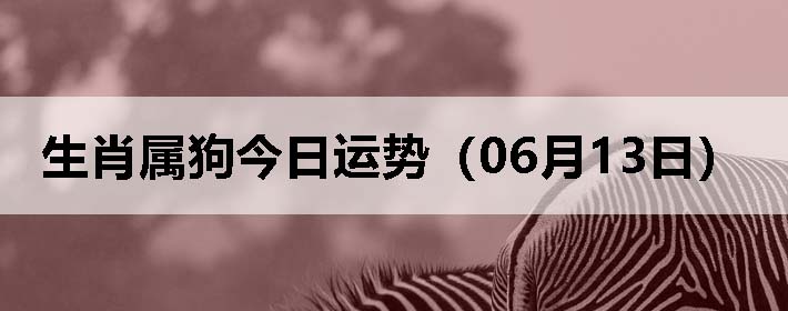 Фƣ0613գ
