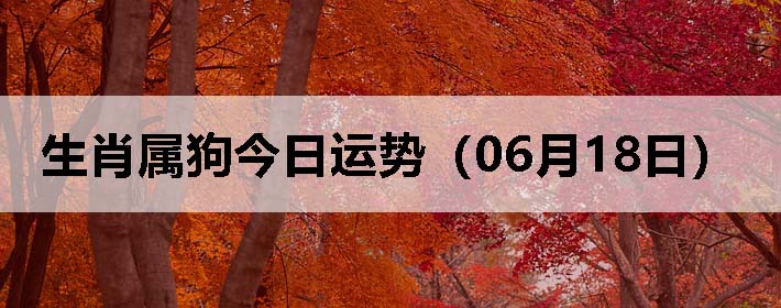 Фƣ0618գ
