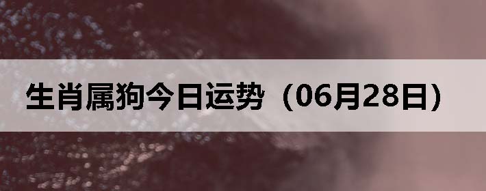 Фƣ0628գ