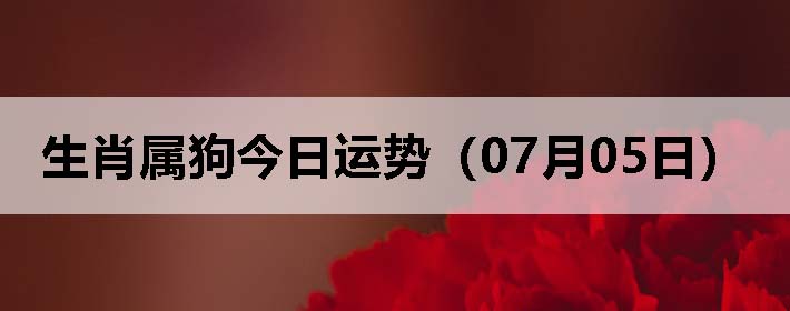 Фƣ0705գ