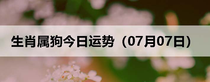 Фƣ0707գ