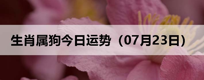 Фƣ0723գ