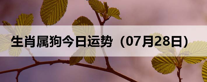 Фƣ0728գ