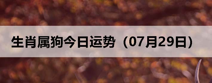 Фƣ0729գ