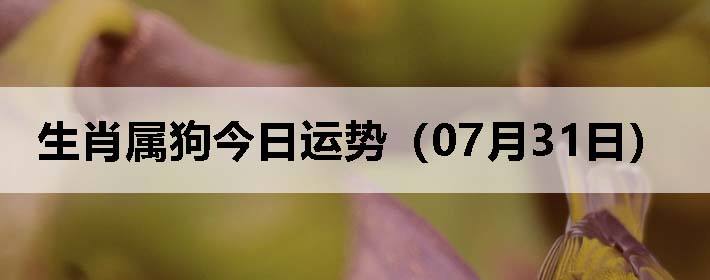 Фƣ0731գ