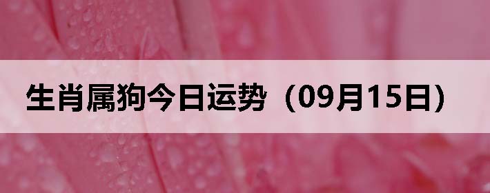 Фƣ0915գ