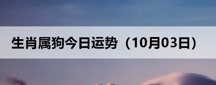 Фƣ1003գ