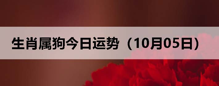 Фƣ1005գ