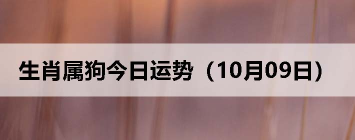Фƣ1009գ