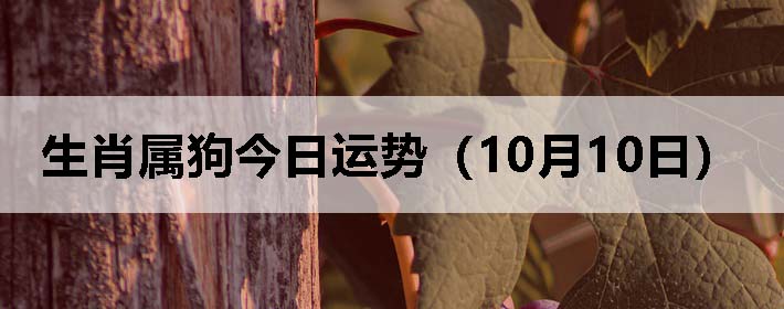 Фƣ1010գ