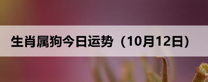 Фƣ1012գ