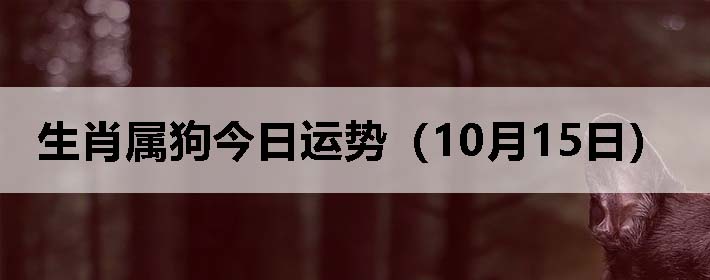 Фƣ1015գ
