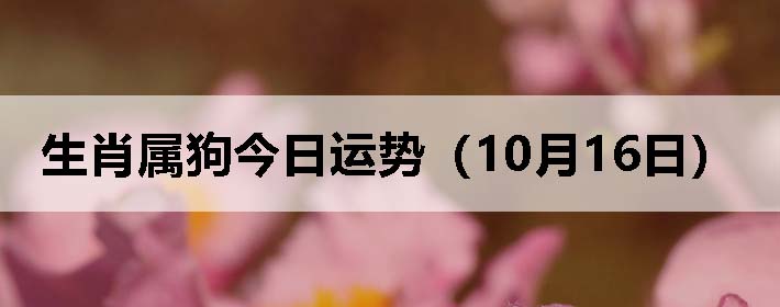 Фƣ1016գ