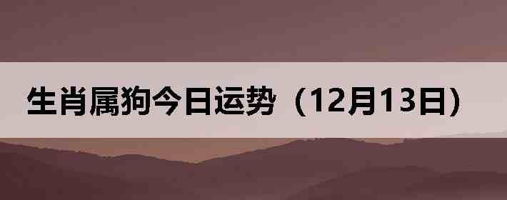 ��Ф�����������ƣ�12��13�գ�