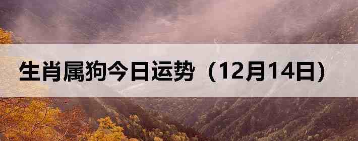 ��Ф�����������ƣ�12��14�գ�